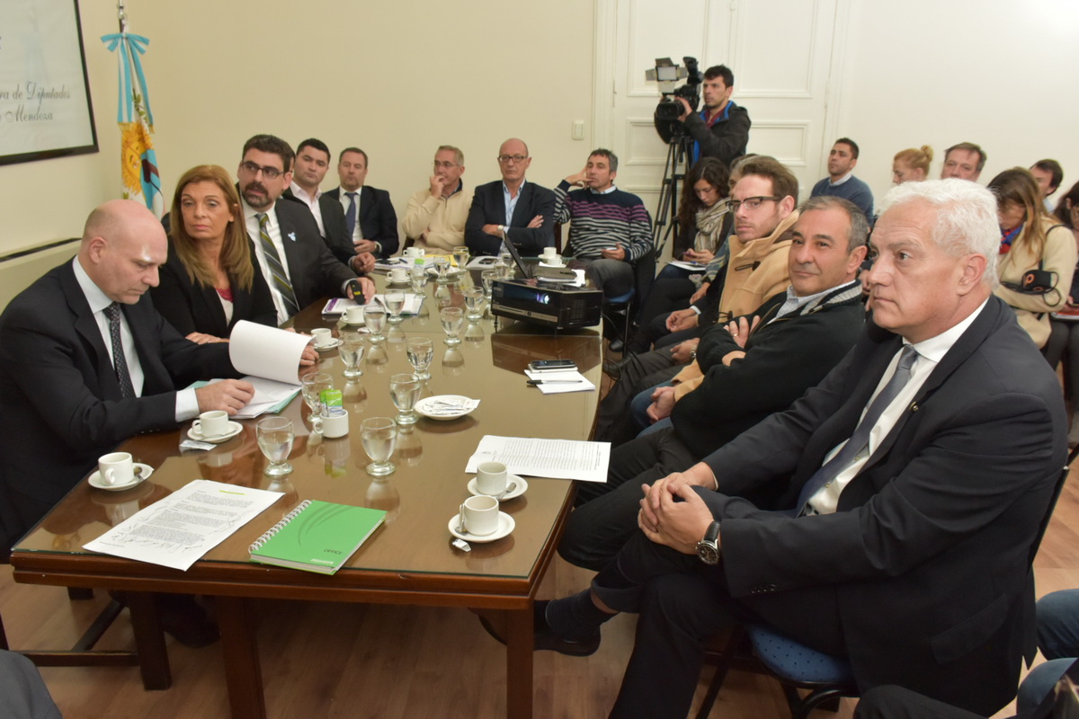 Labor Parlamentaria (17)