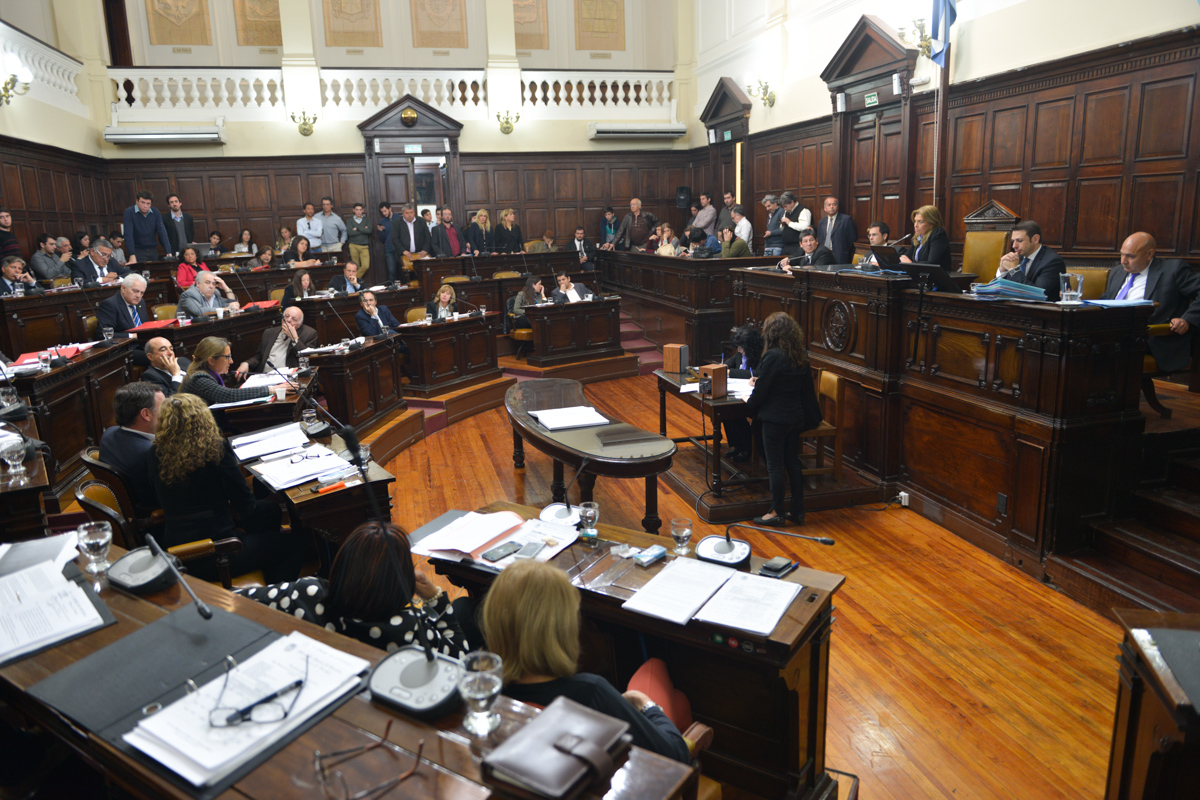 DSC_4953 (1)