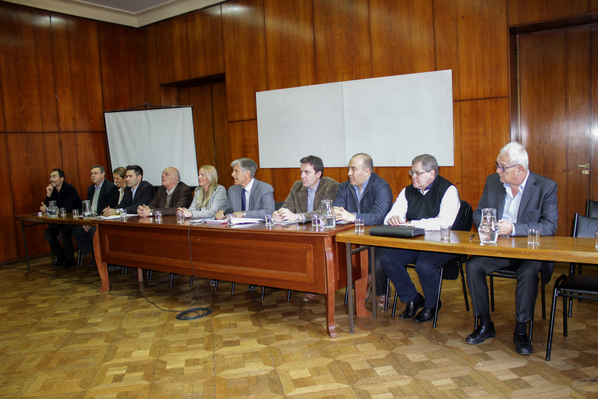 IMG-4