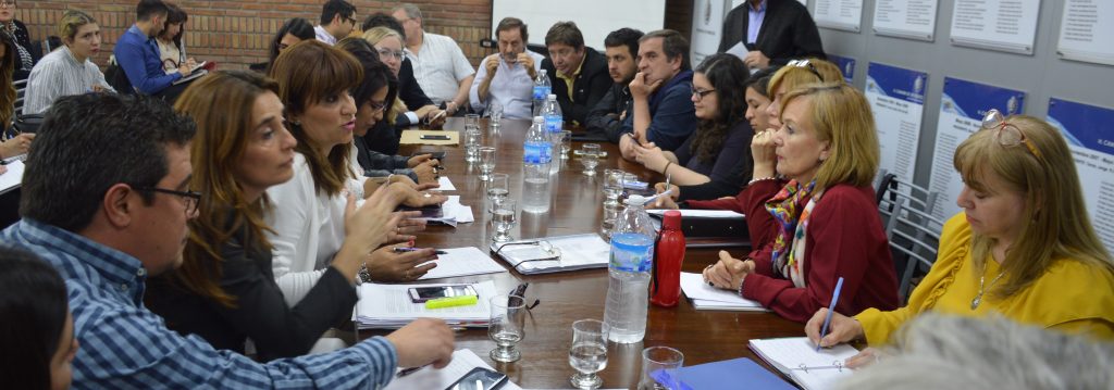 Bicameral niñez y adolescencia