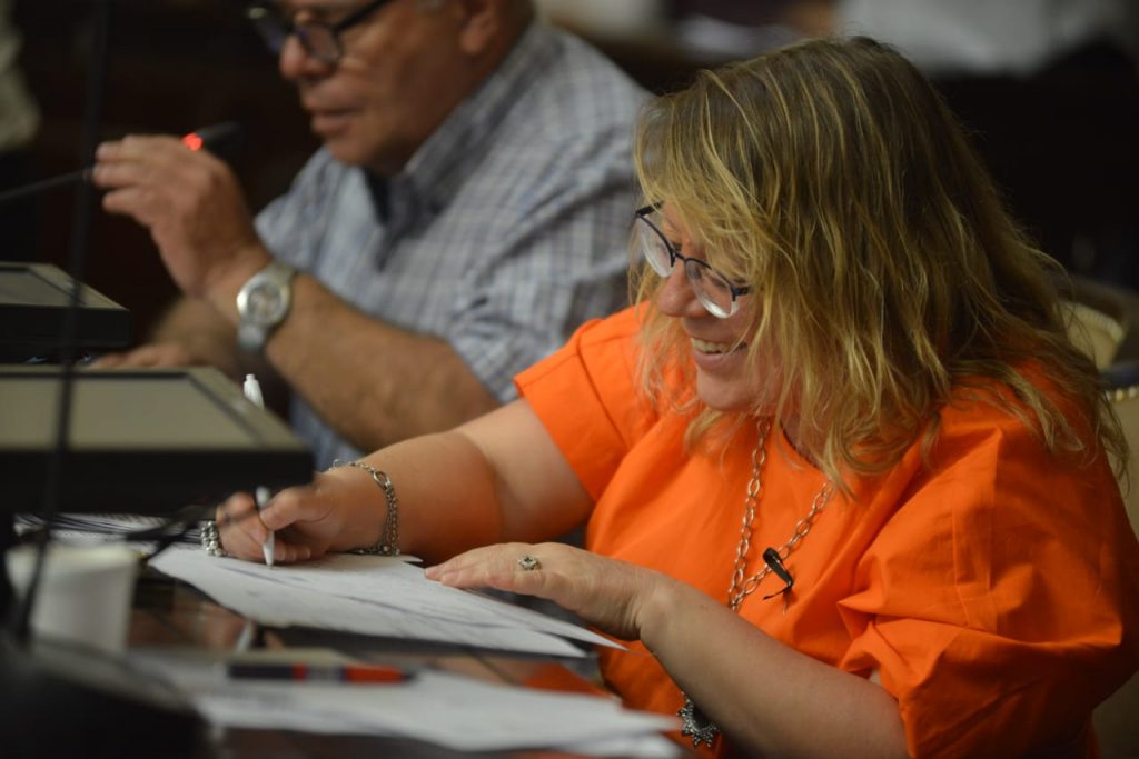proyecto de ley de cupo femenino