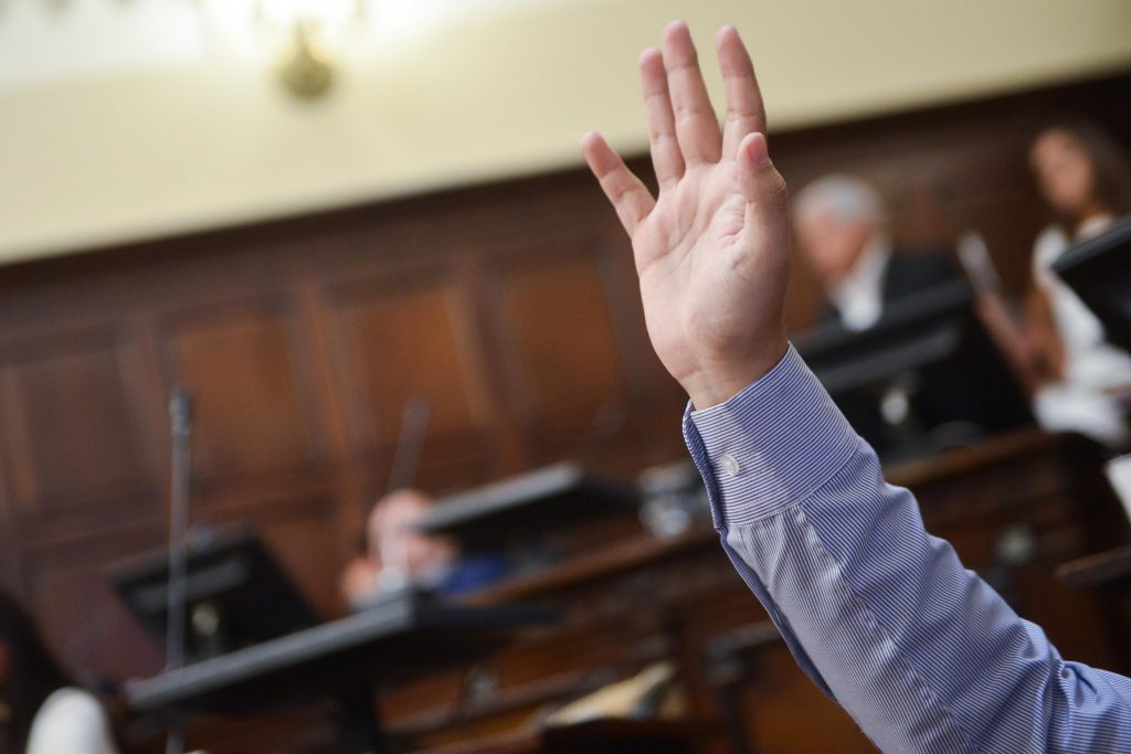 Sesión senado 19 de febrero