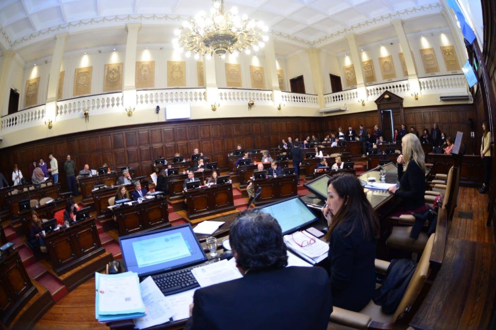 sesión senado 25 de junio