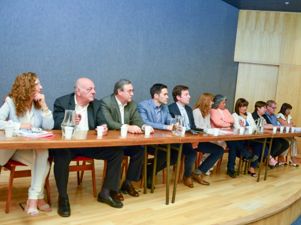 Audiencia Pública