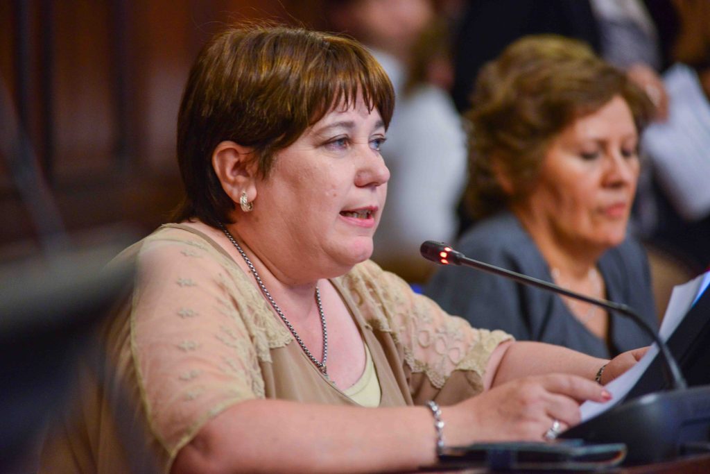 Sesión senado 3 de diciembre