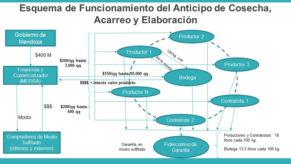 Plan vitivinícola
