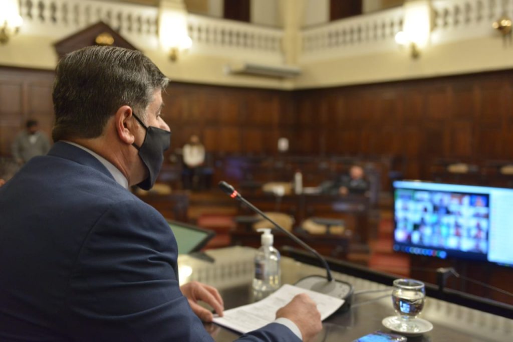 sesión senado portezuelo