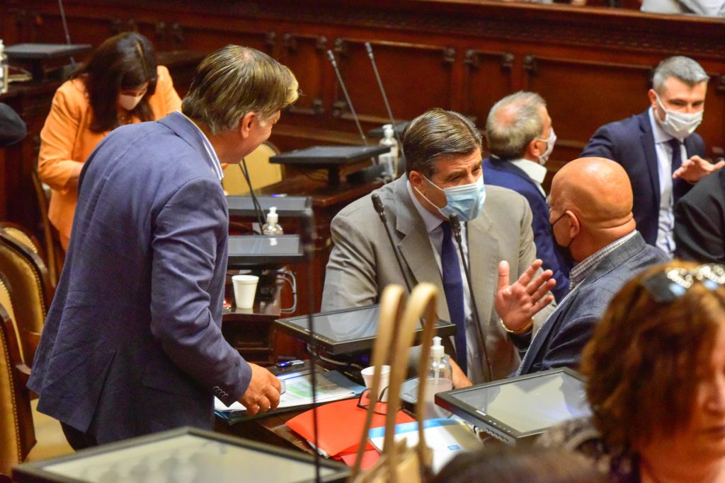 proyectos y resoluciones que fueron aprobados por la Cámara Alta 