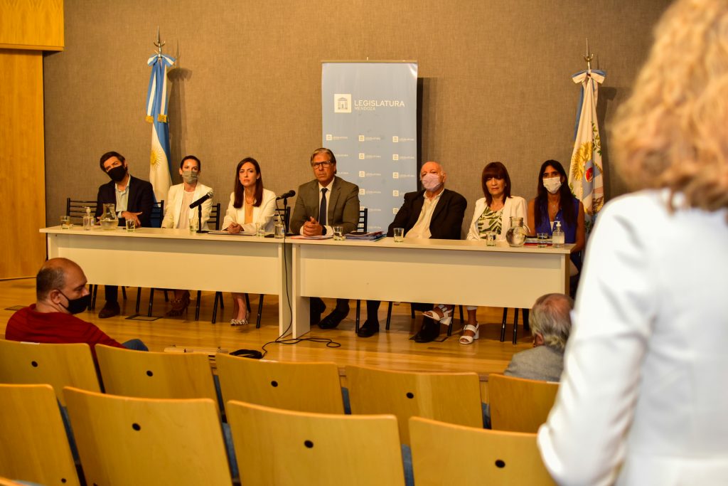 audiencia pública