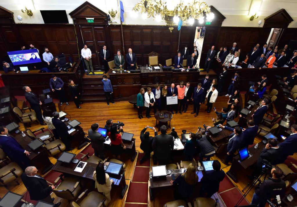 El Senado de Mendoza renovó 19 bancas