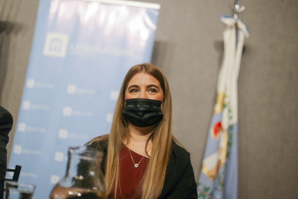 audiencia pública martínez