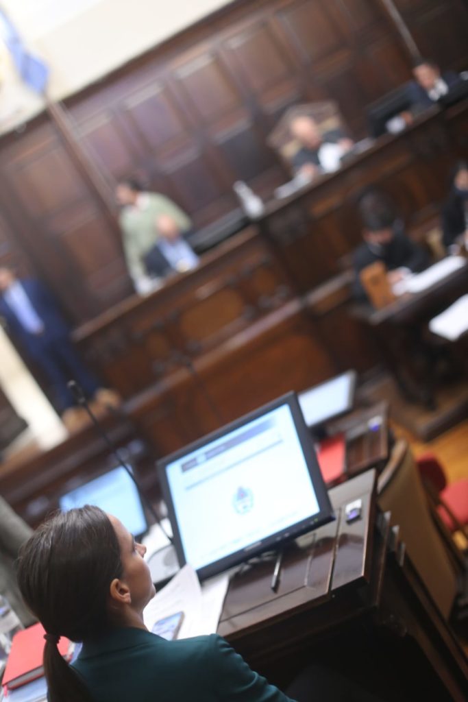 avaló distintos proyectos de declaración, resolución y pedidos de informe