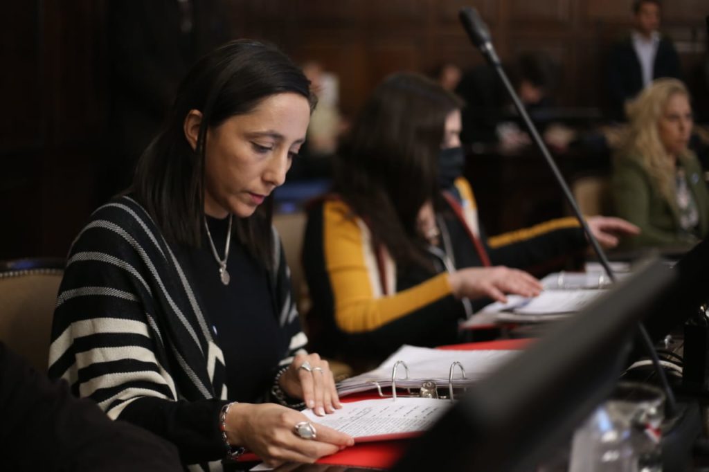 proyectos de declaración, resolución y pedidos de informe fueron avalados por la Cámara Alta 