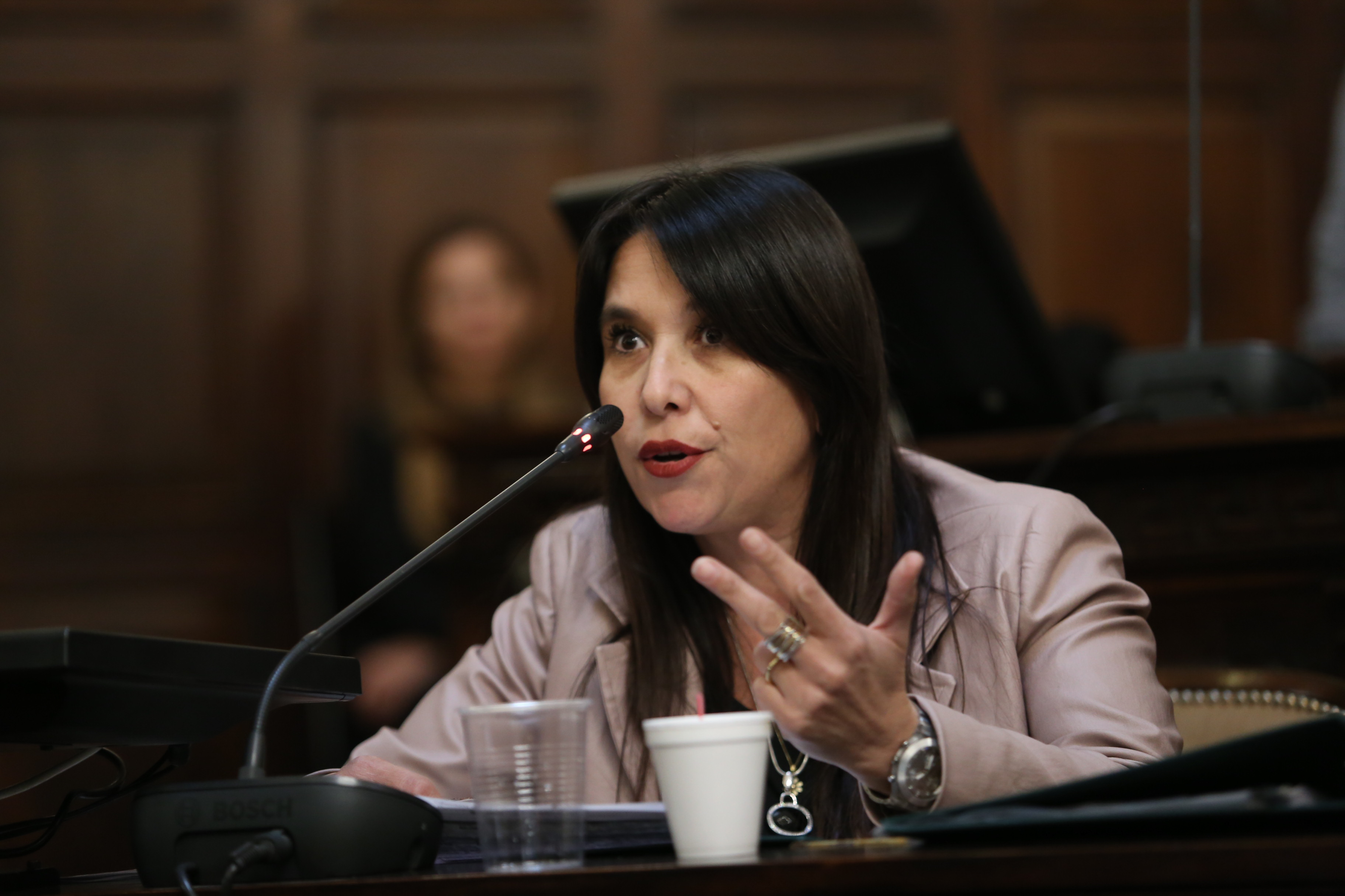 proyectos de declaración, resolución y pedidos de informe