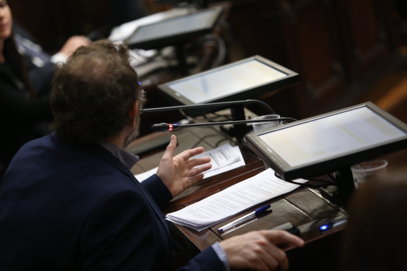 declaración, resolución y pedidos de informe