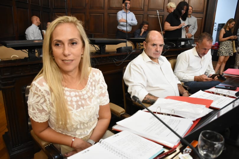 aprobaron distintos proyectos de declaración, resolución y pedidos de informe