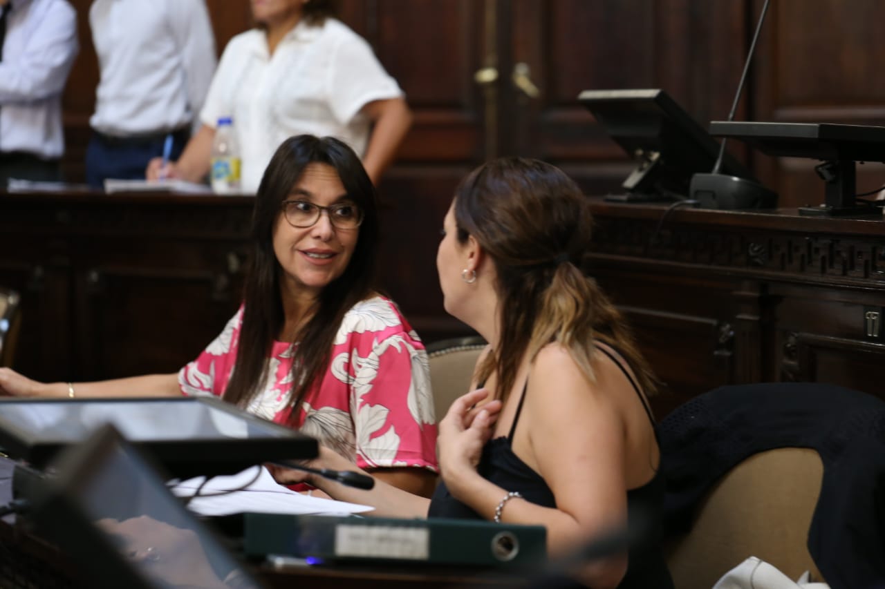 declaración, resolución y pedidos de informe