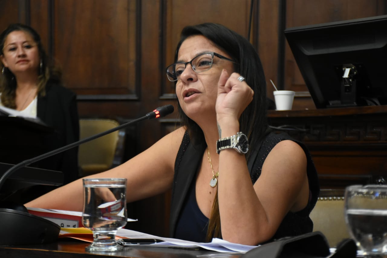 Carta Orgánica de la OSEP
