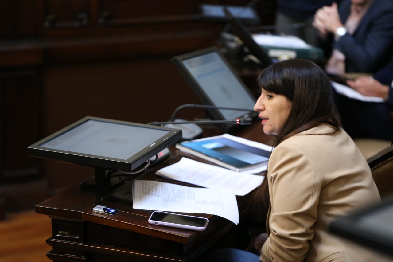 sesión senado