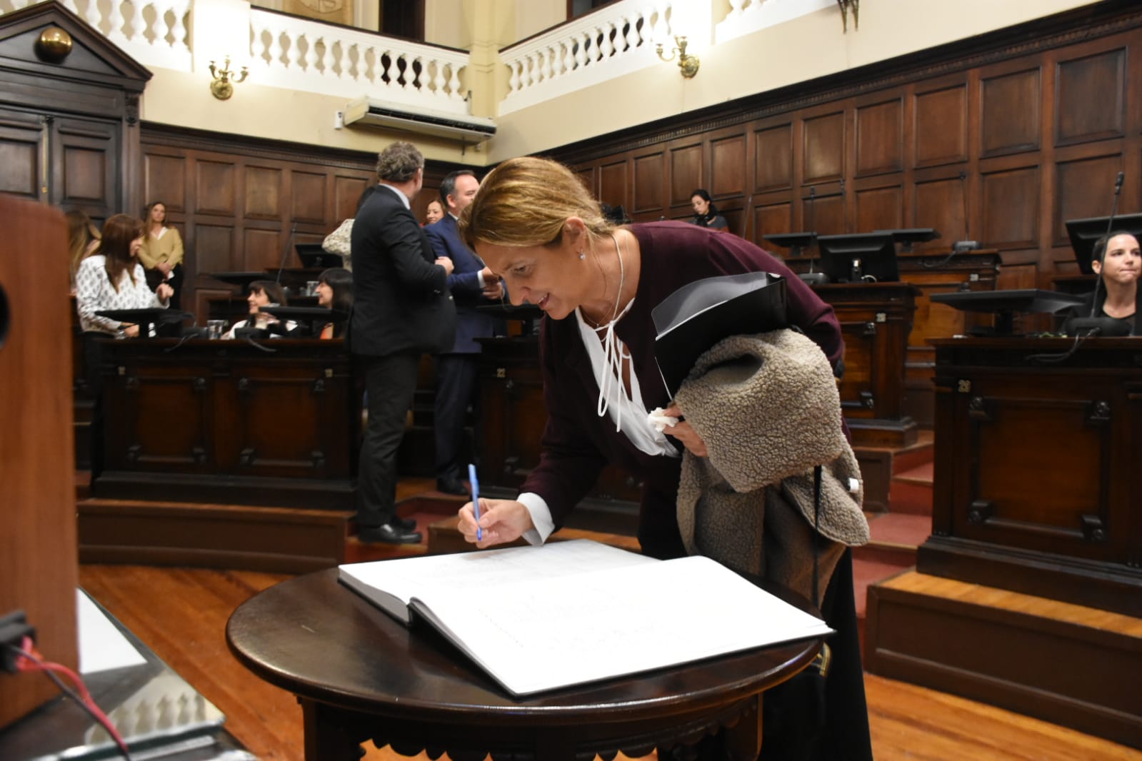 declaración, resolución y pedidos de informe