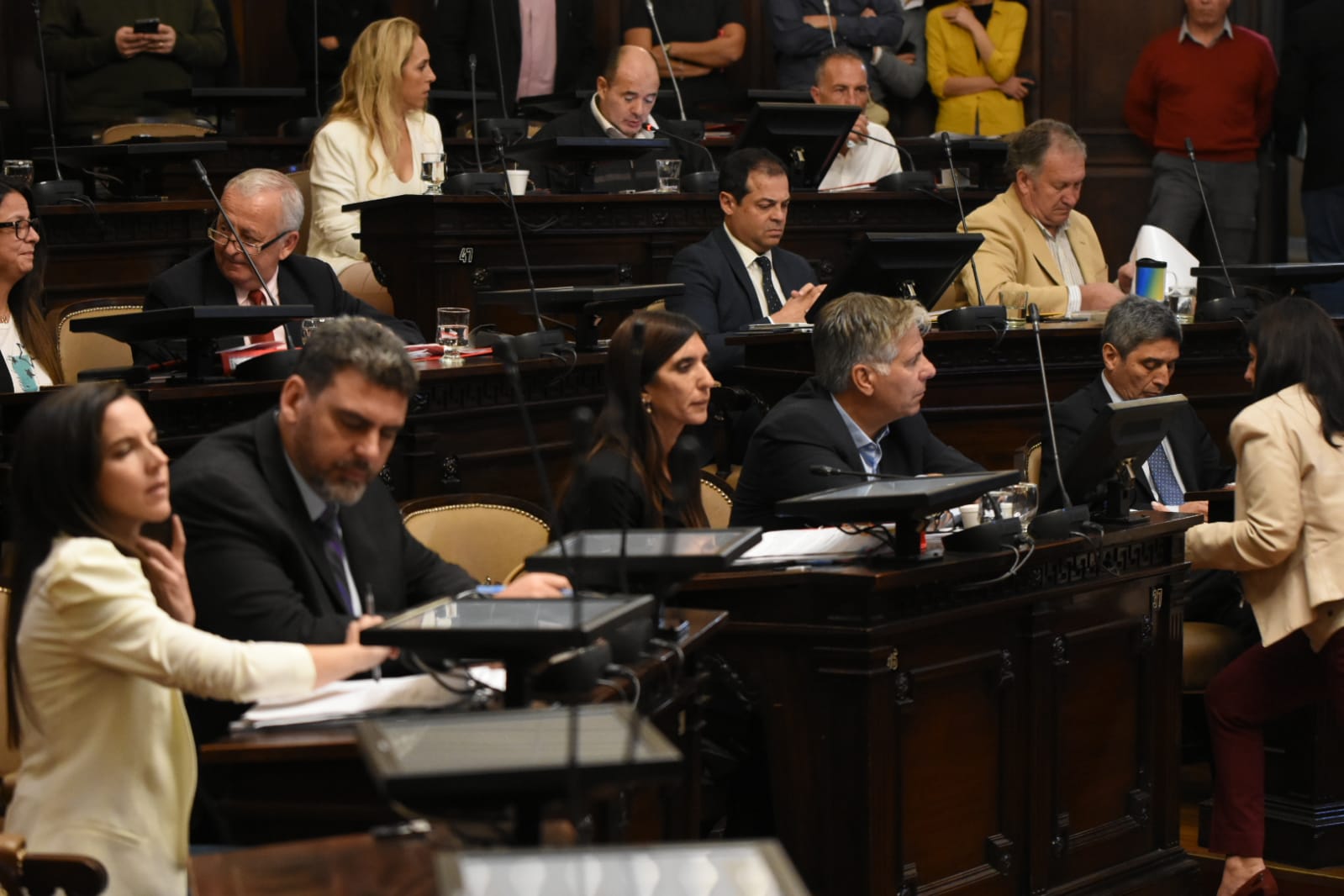 declaración, resolución y pedidos de informe