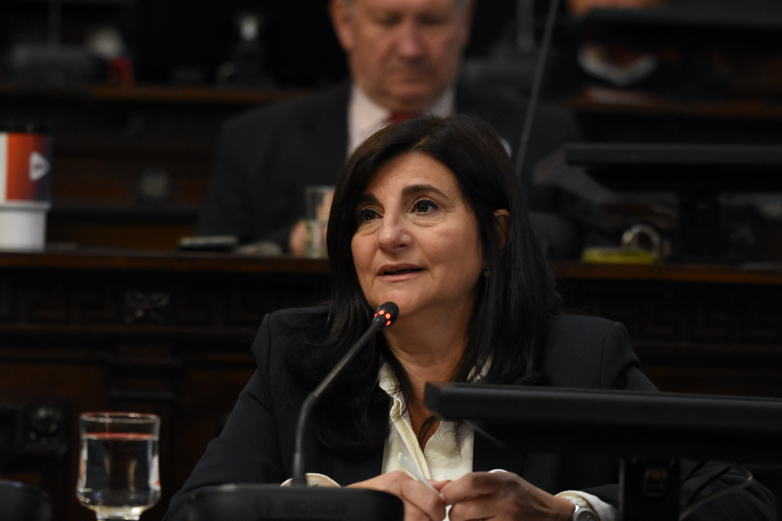 auditorio de la Legislatura se llame Islas Malvinas Argentinas