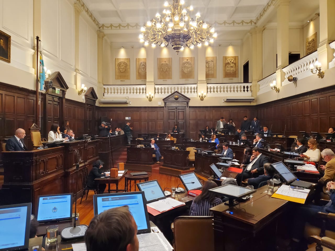 declaración, resolución y pedidos de informe