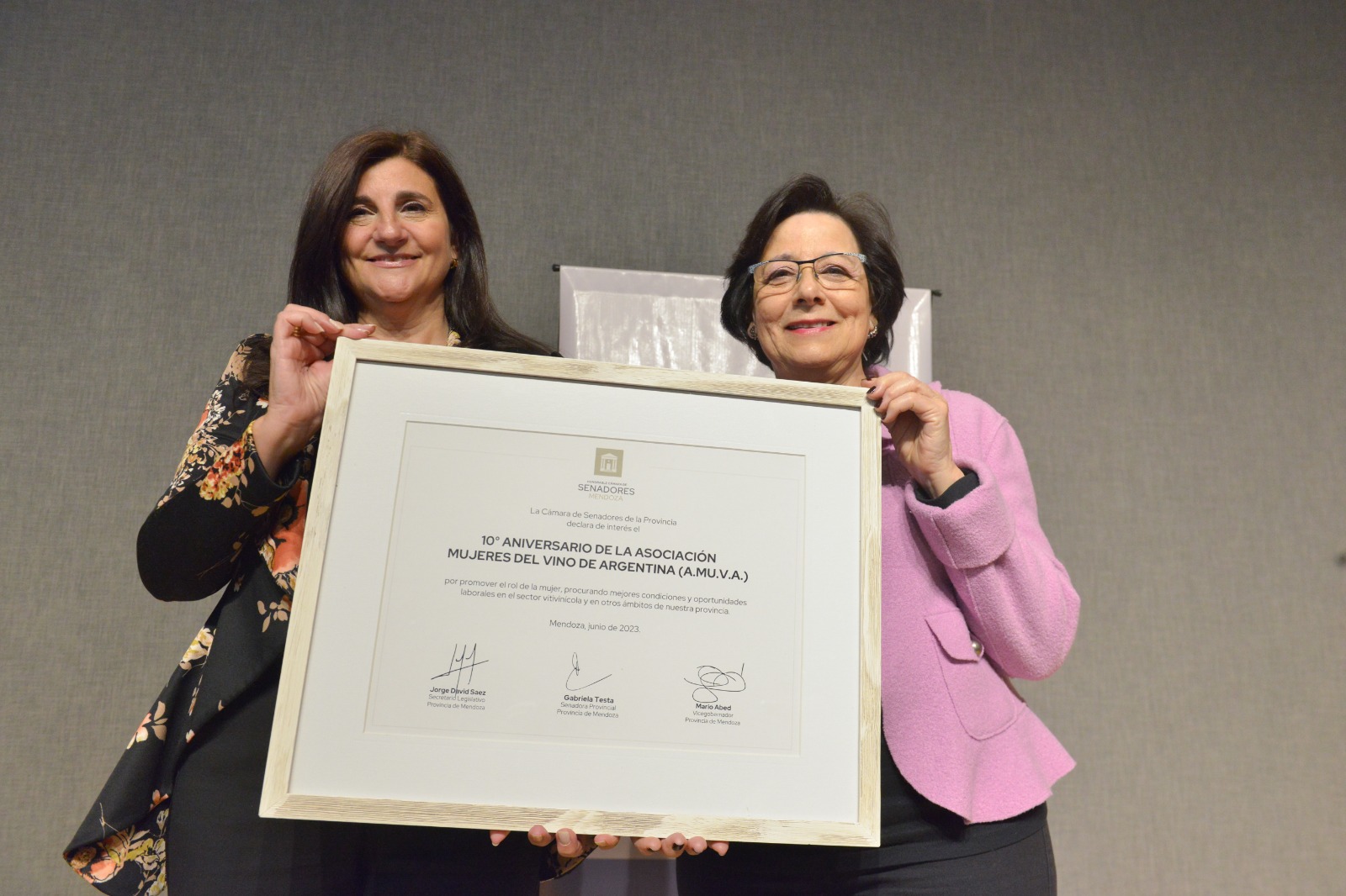 El Senado reconoció a la Asociación Mujeres del Vino