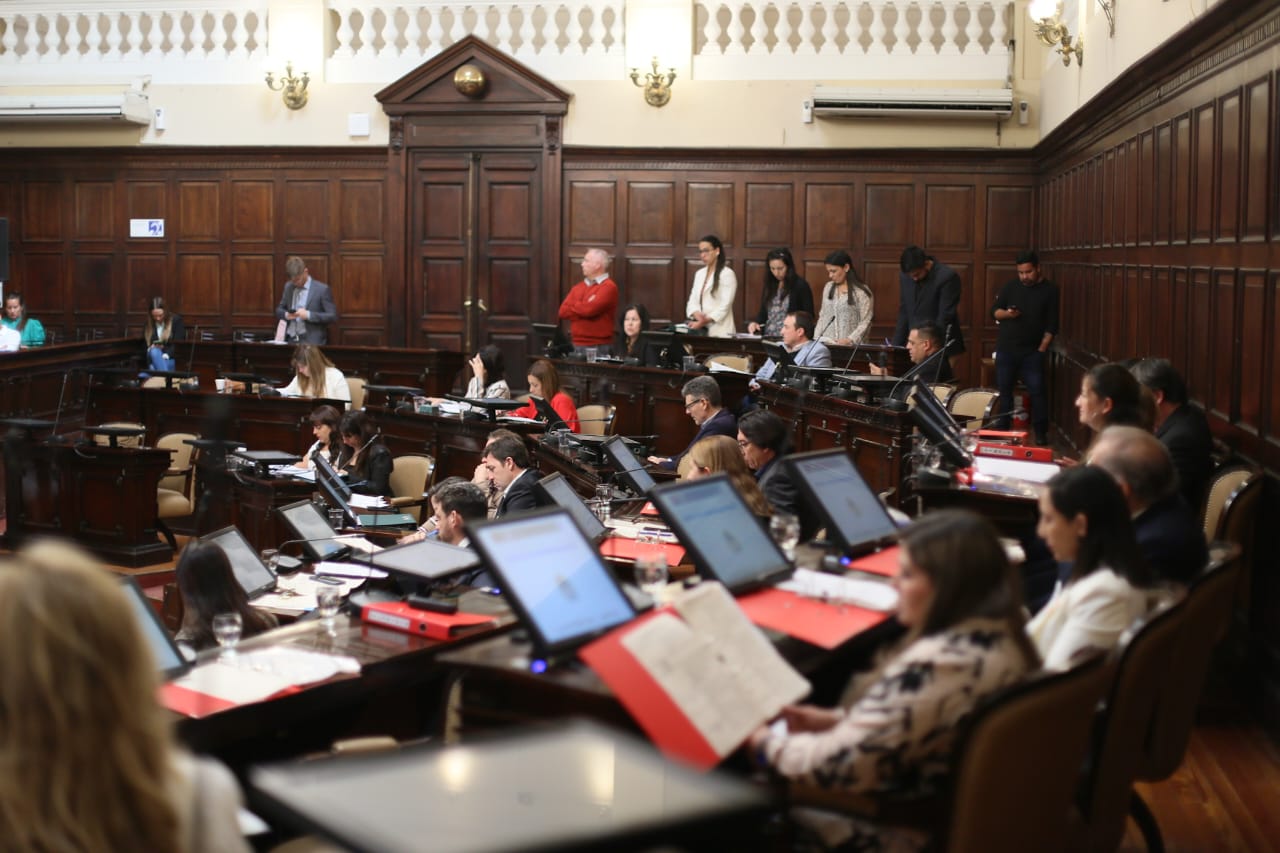 declaración, resolución y pedidos de informe