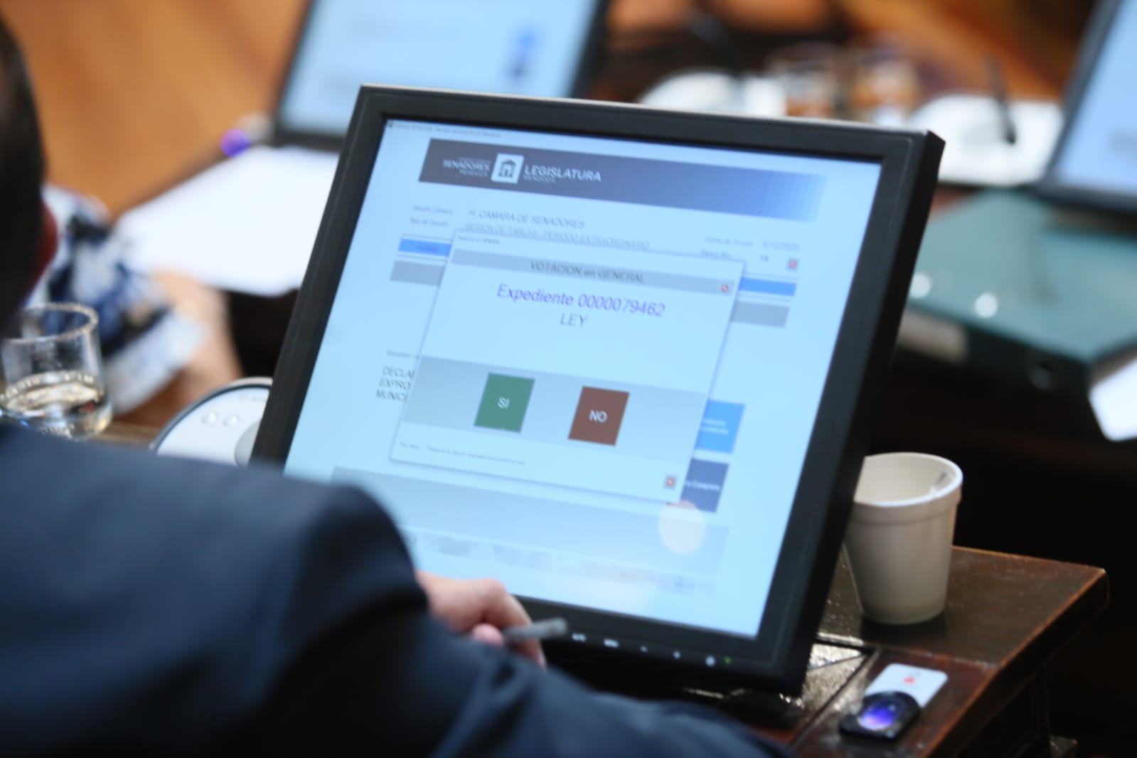 declaración, resolución y pedidos de informe