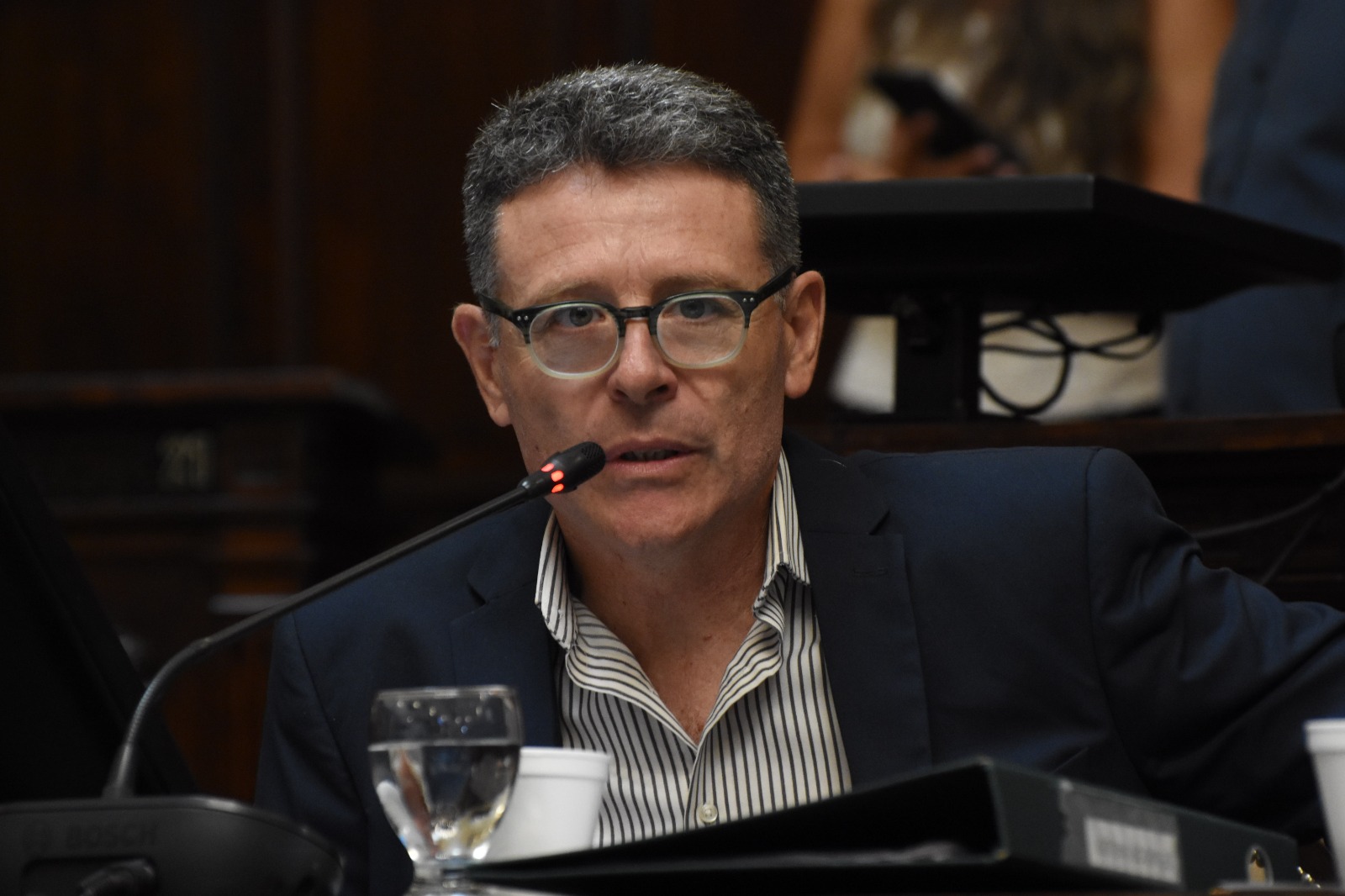 expropiación de inmuebles ubicados en Lavalle