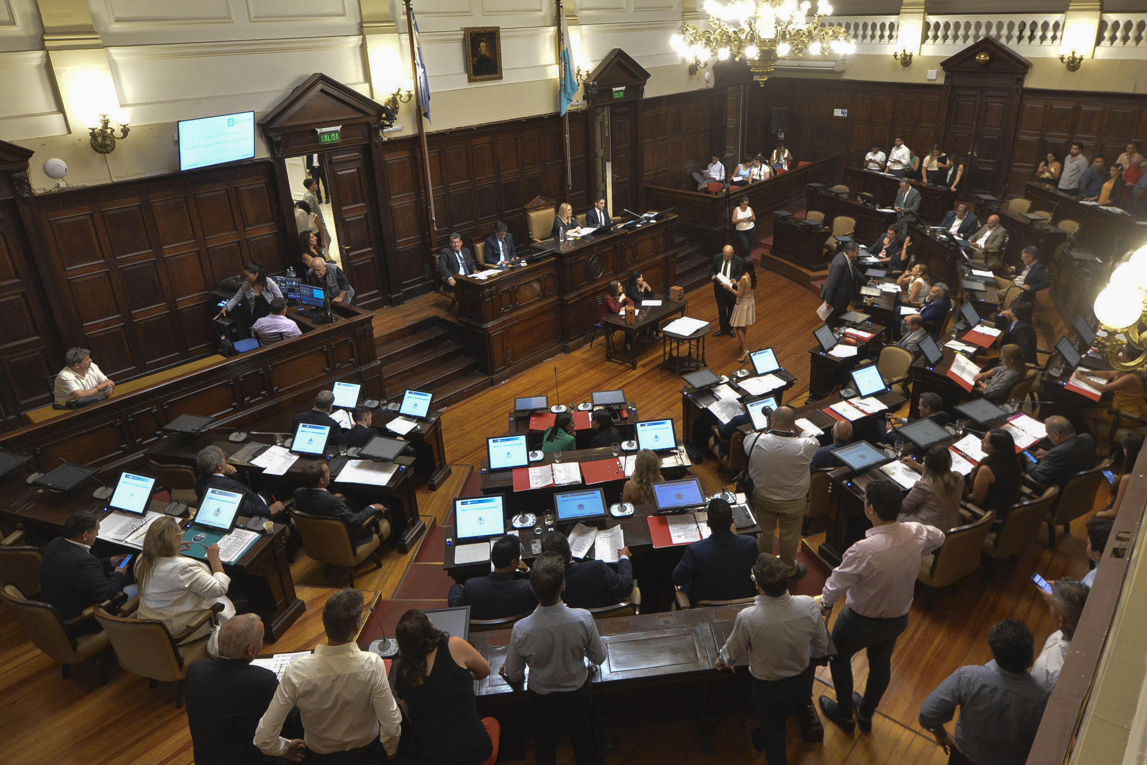 proyectos de declaración, resolución y pedidos de informe
