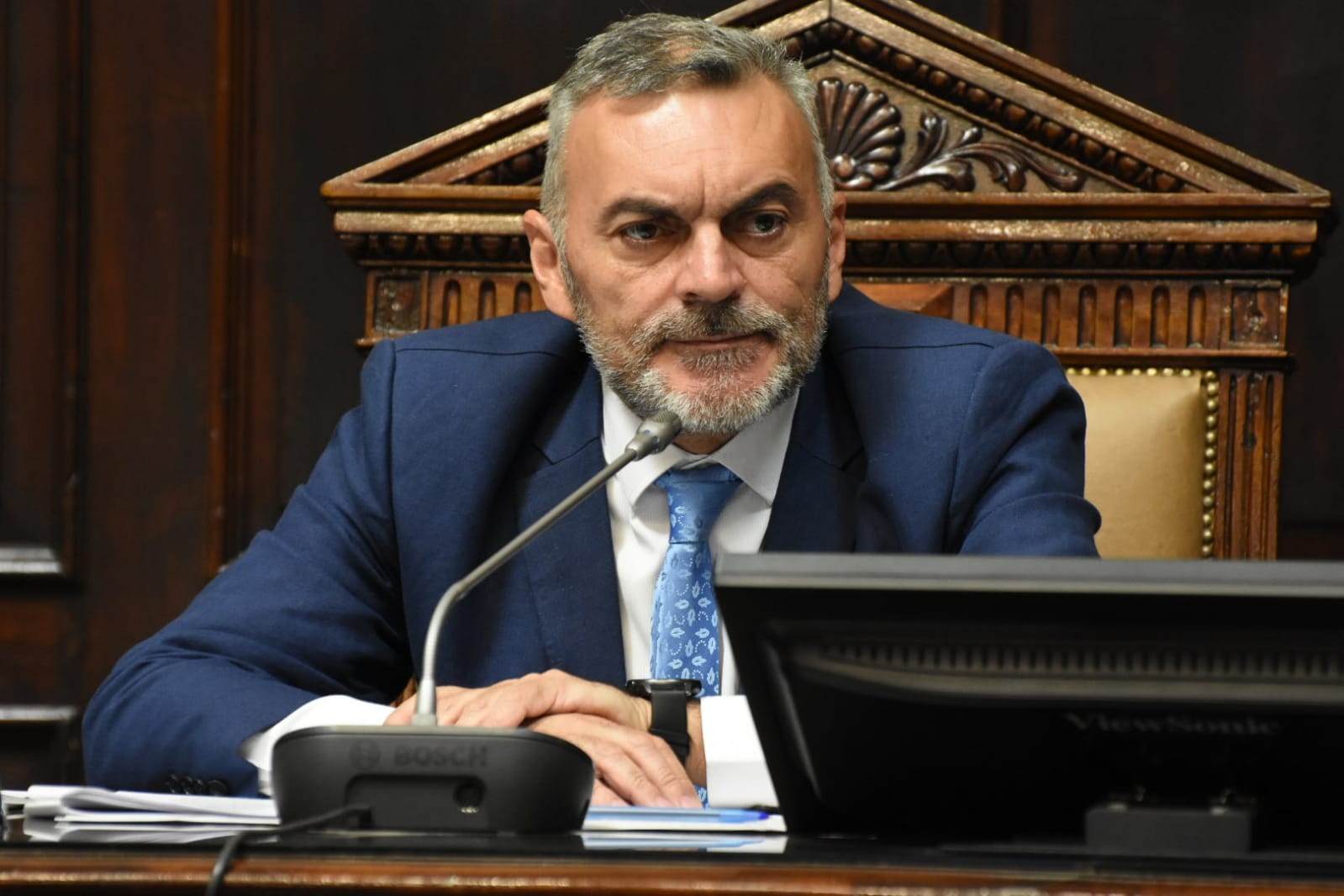 declaración, resolución y pedidos de informe 