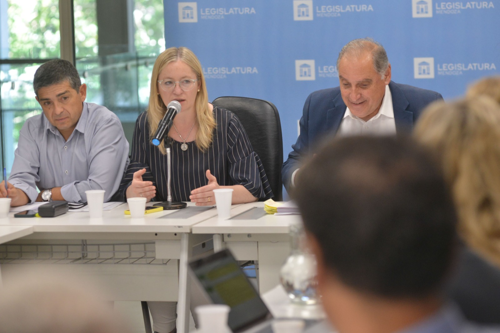 renovar el sistema de salud en Mendoza