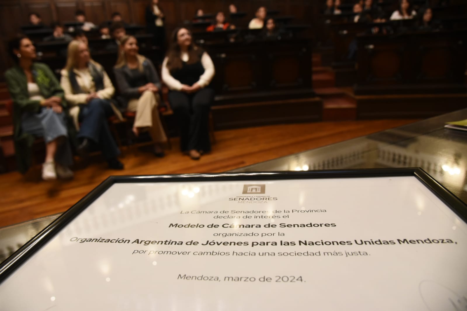 Edición del Modelo de Cámara de Senadores