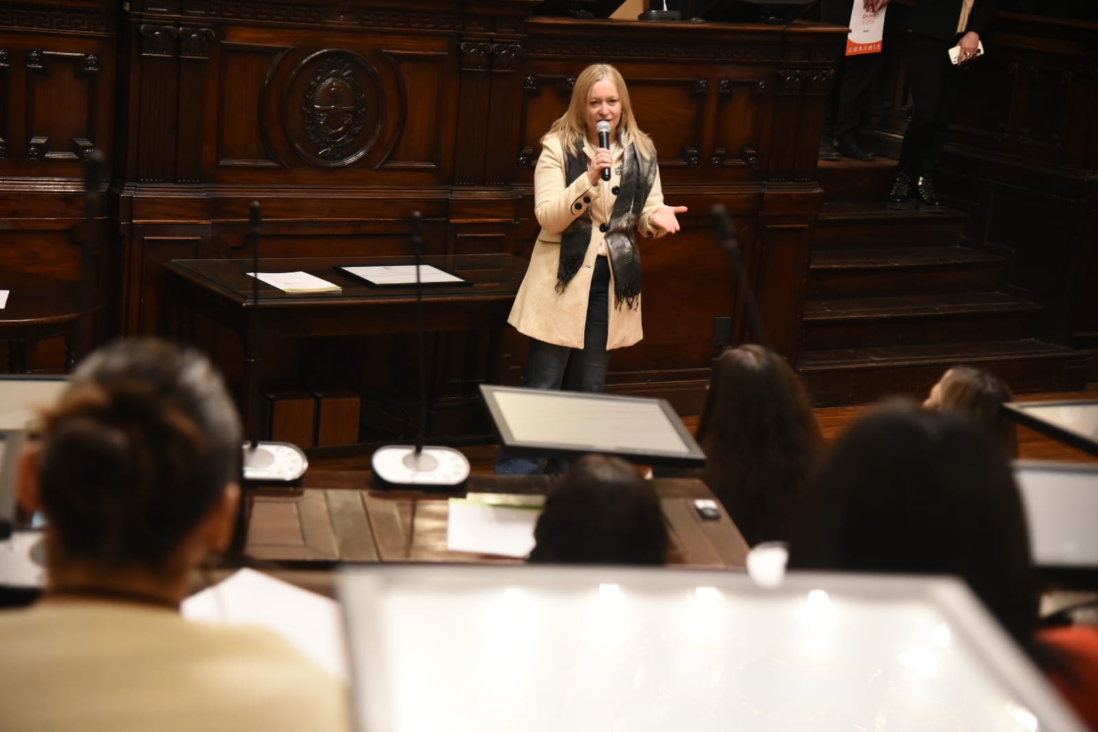 Edición del Modelo de Cámara de Senadores