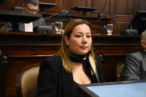 regulación del uso de videocámaras en espacios públicos