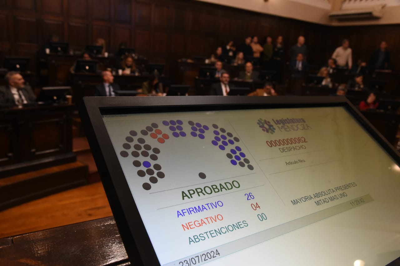 regulación del uso de videocámaras en espacios públicos 