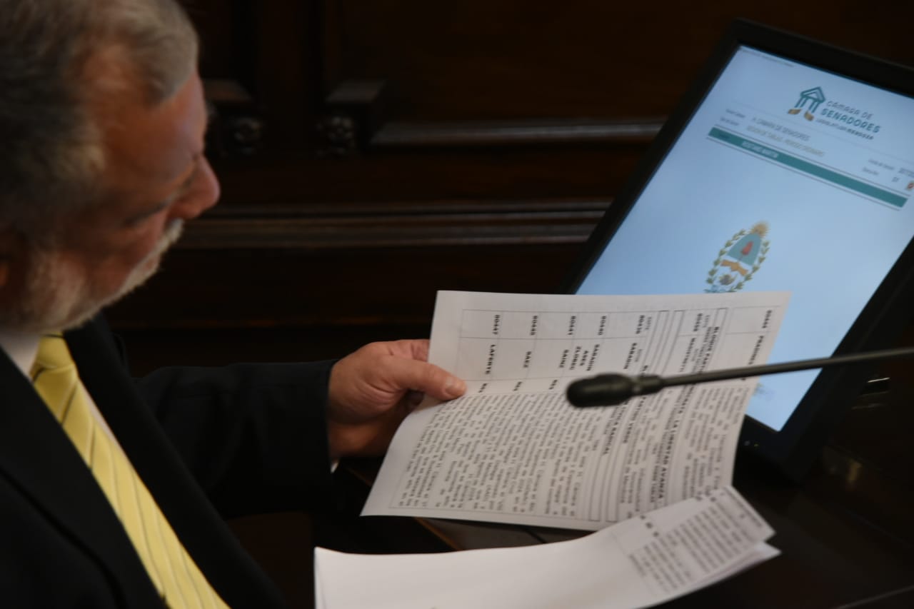 proyectos por el Senado de Mendoza