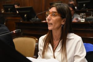 El Senado aprobó diversos proyectos durante su sesión de tablas