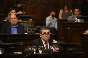 Senadores avalaron la expropiación de inmuebles en Los Penitentes para revitalizar el centro turístico