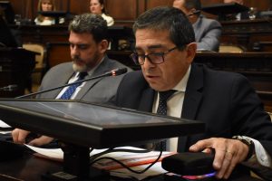 El Senado de Mendoza aprueba la expropiación de un terreno en Malargüe