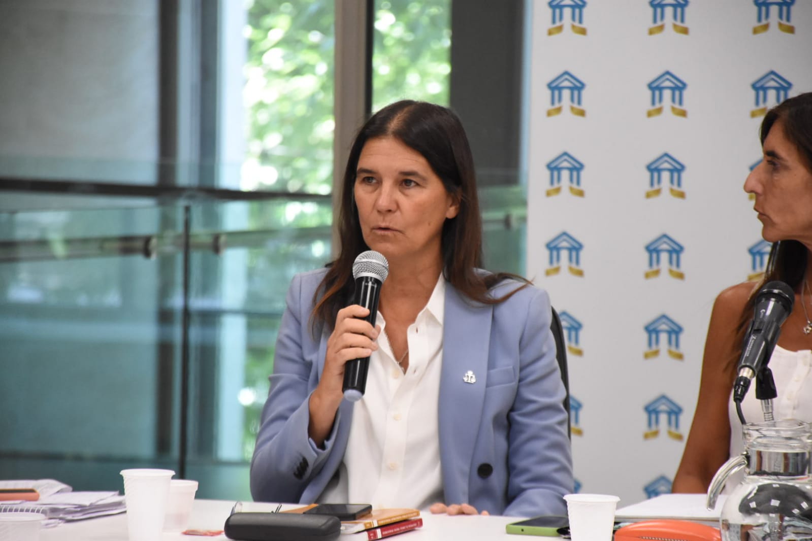 Avanza el proyecto que reforma el Código Procesal de Familia y Violencia Familiar