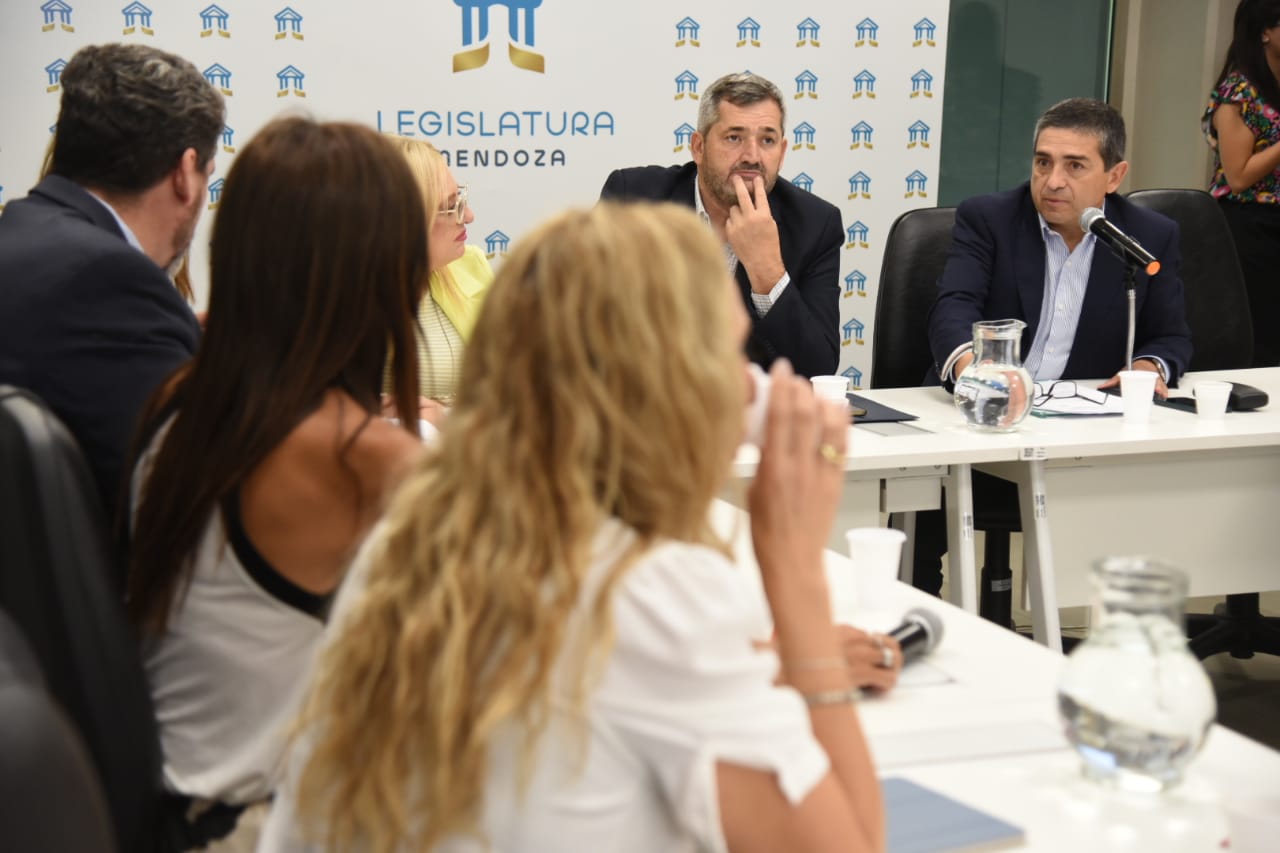 Despacho favorable para el proyecto que reforma el Código Procesal de Familia y Violencia Familiar