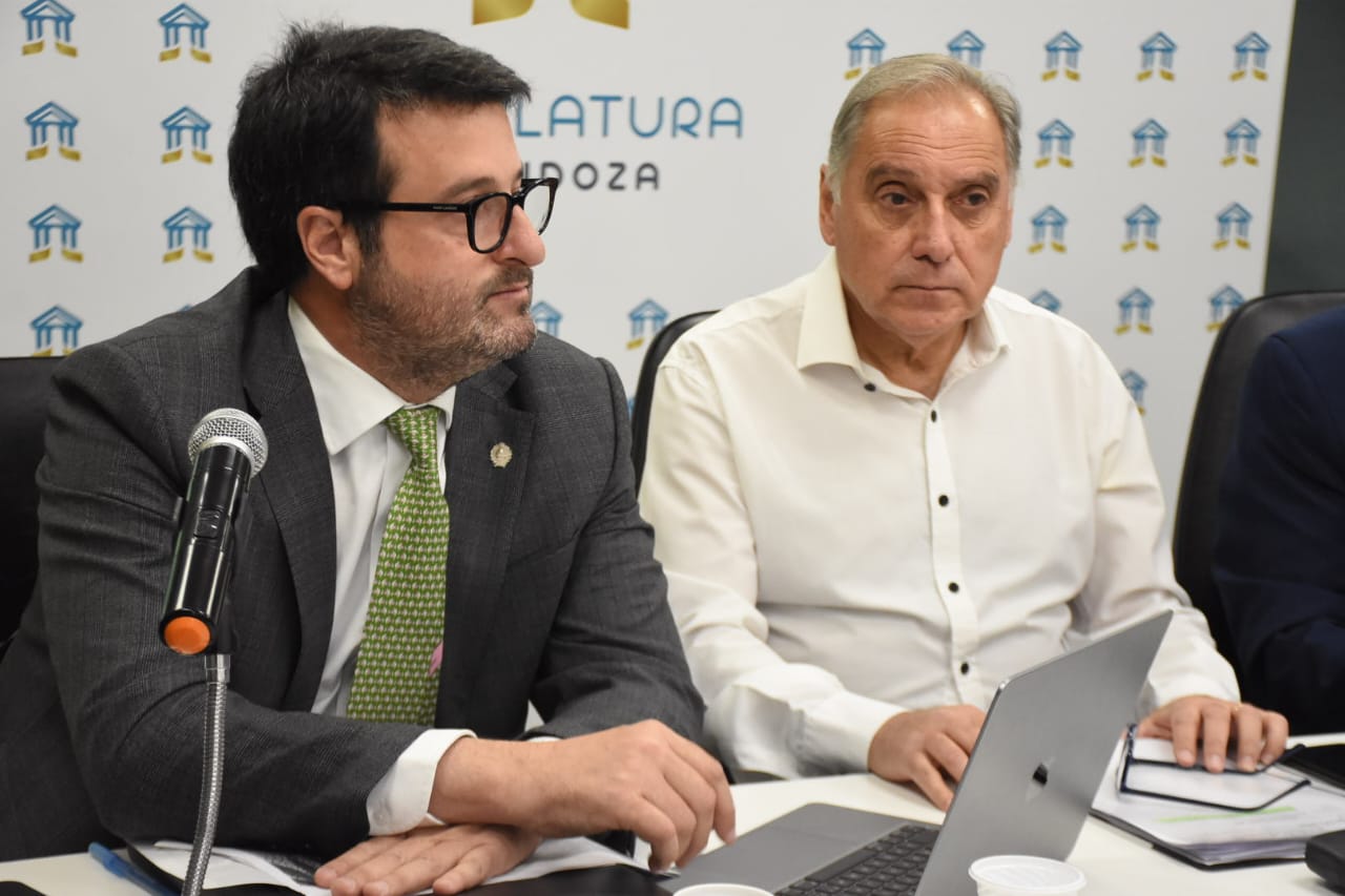 El Senado avanza en la modernización de la ley de cannabis y cáñamo en Mendoza