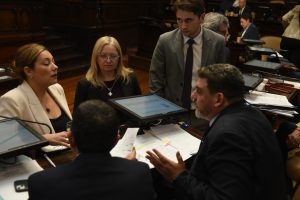 declaración de emergencia de los sistemas hidroeléctricos Los Nihuiles y Diamante