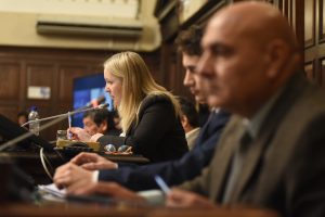 ampliar el uso productivo de tierras estatales
