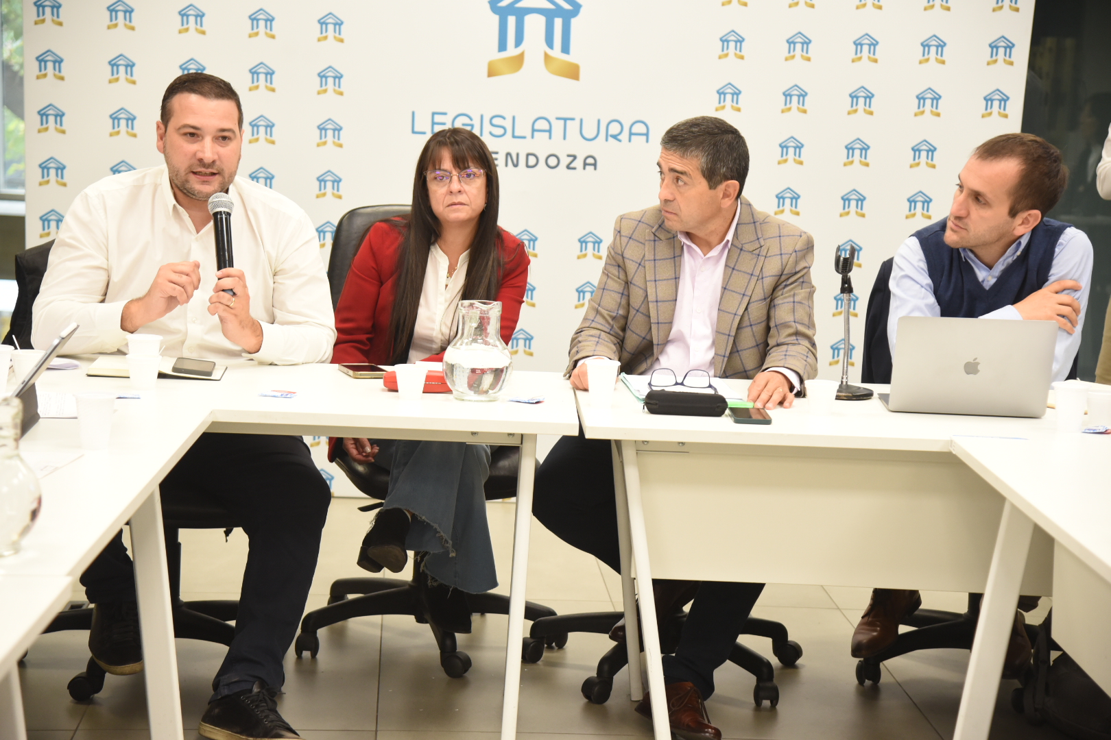 El Senado analiza la declaración de emergencia de los sistemas hidroeléctricos Los Nihuiles y Diamante 