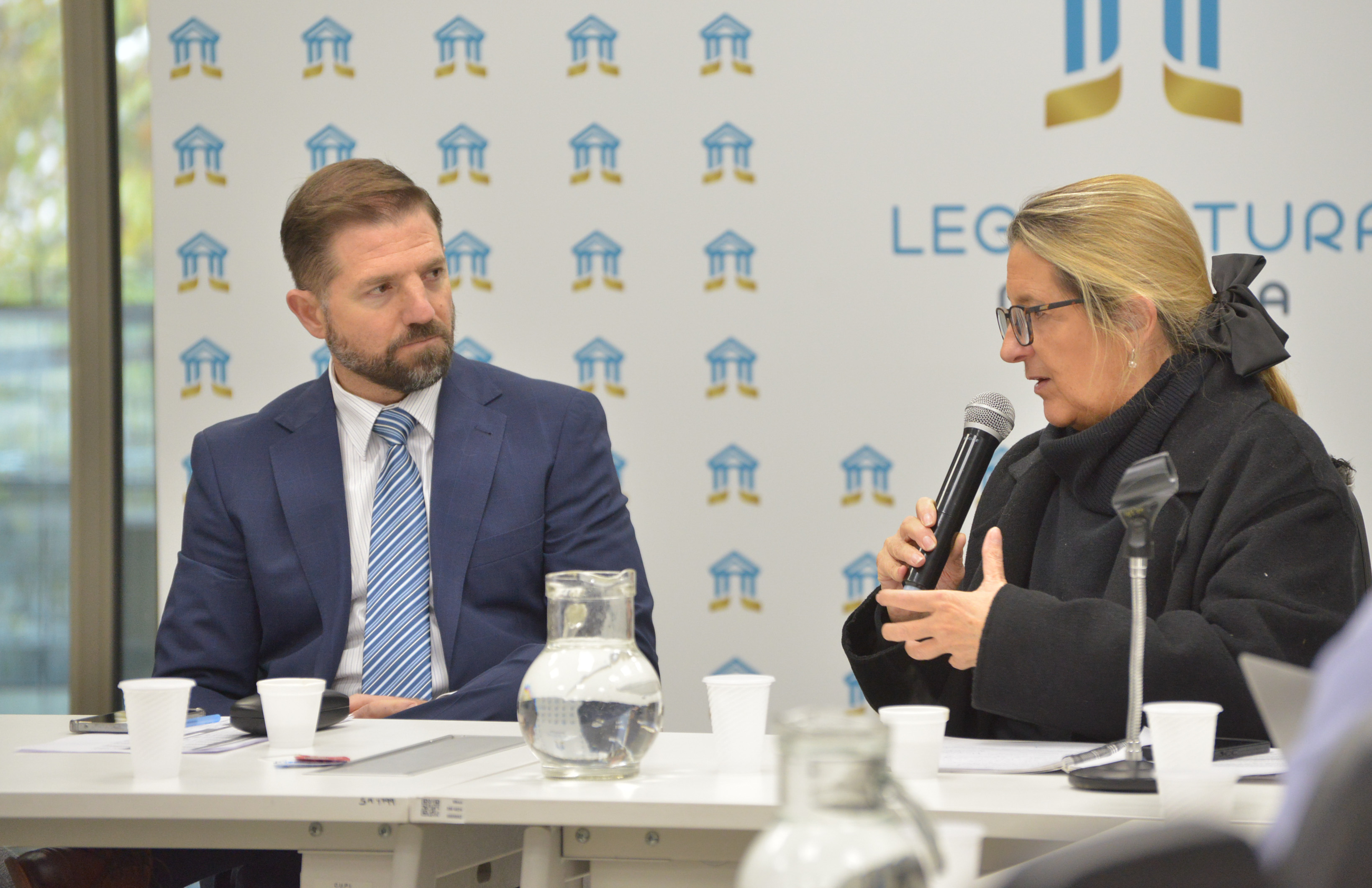 Legisladores abordaron la problemática del juego online ilegal y el consumo digital en niños y adolescentes