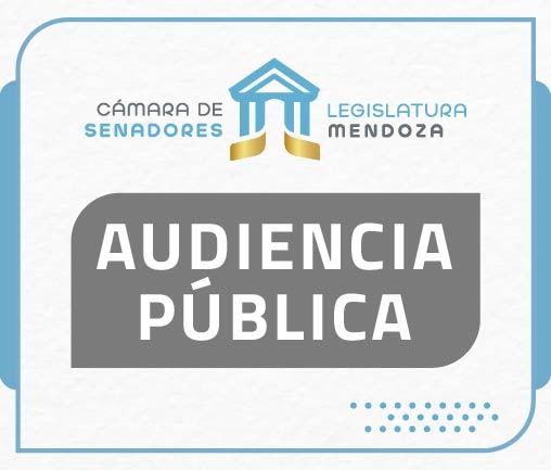 audiencia pública